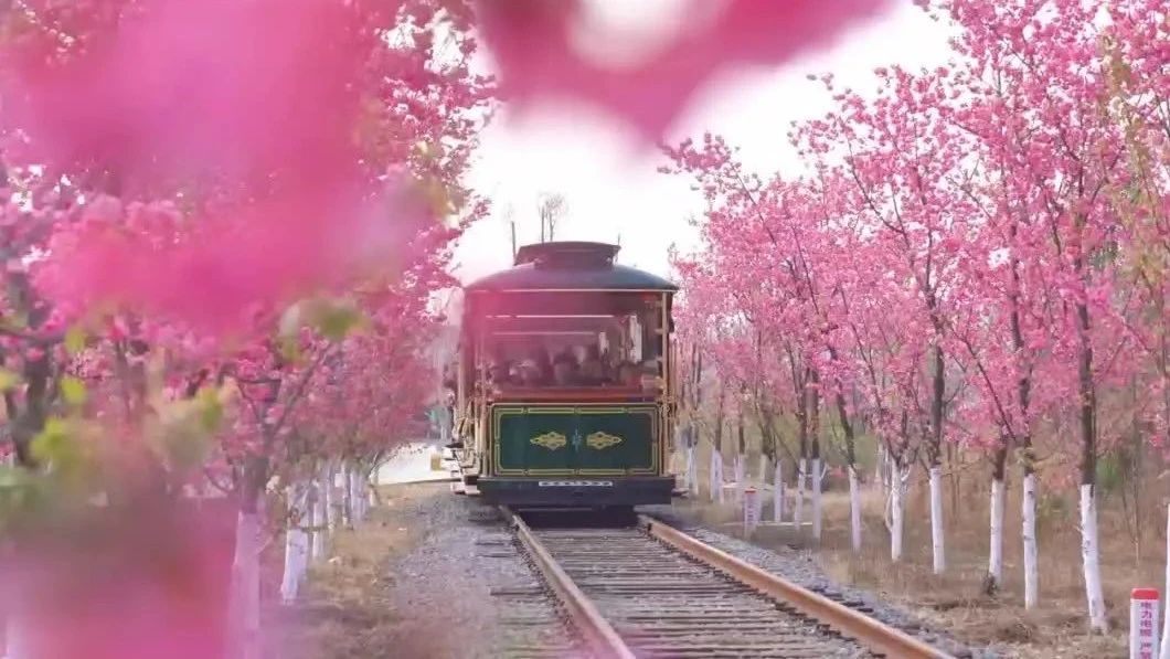 云南省文化和旅游厅