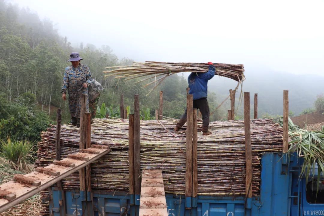 云南省人民政府网