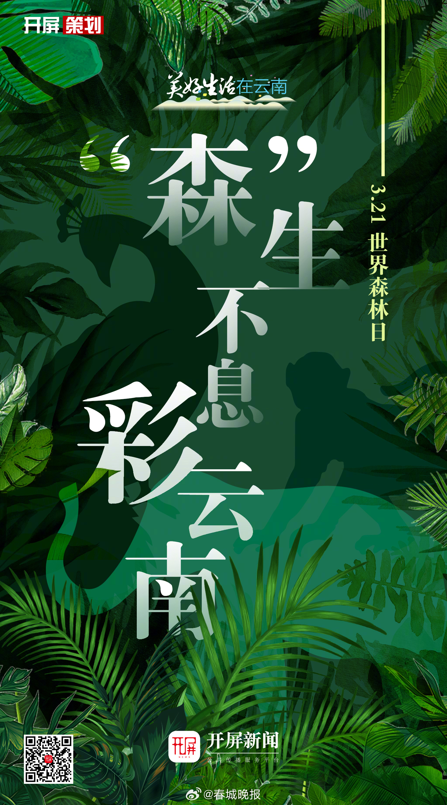 春城晚报