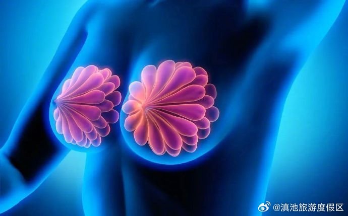 不是所有乳腺疾病都能摸到