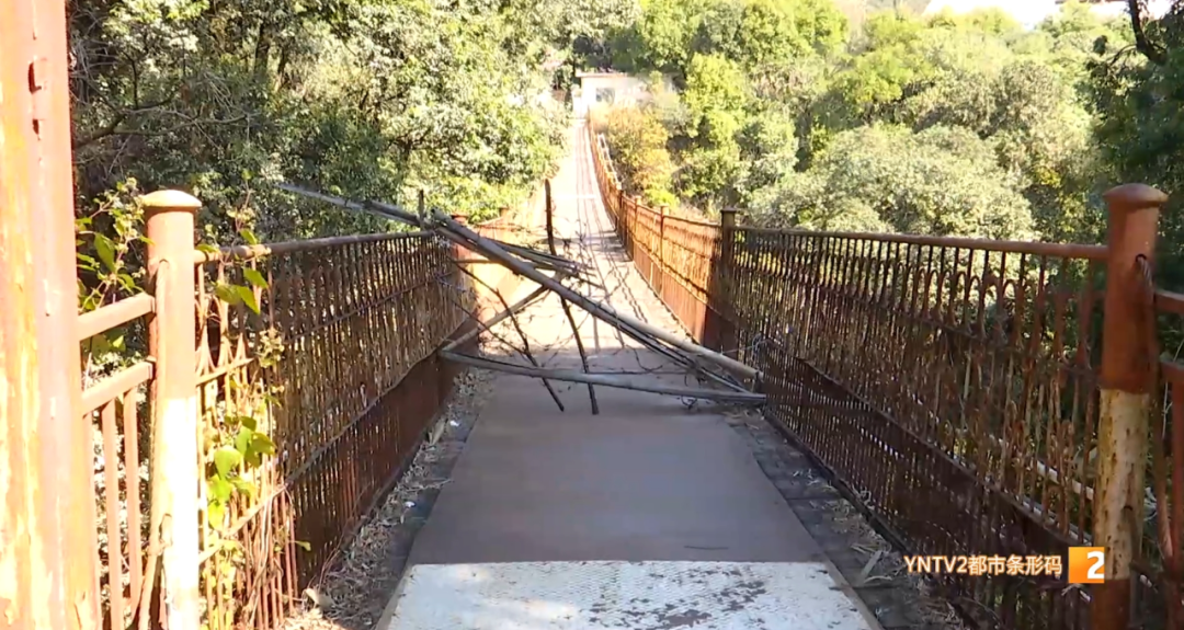 昆明信息港/cnkmxxg