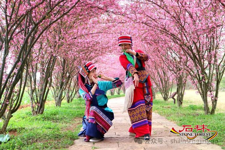 石林旅游网