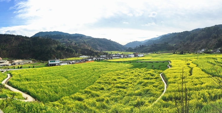 云南省文化和旅游厅