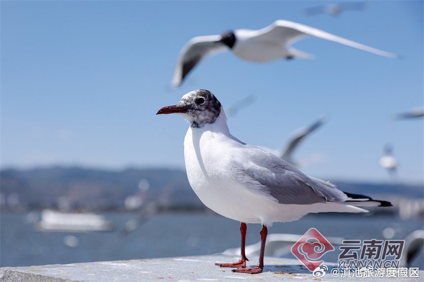 滇池旅游度假区