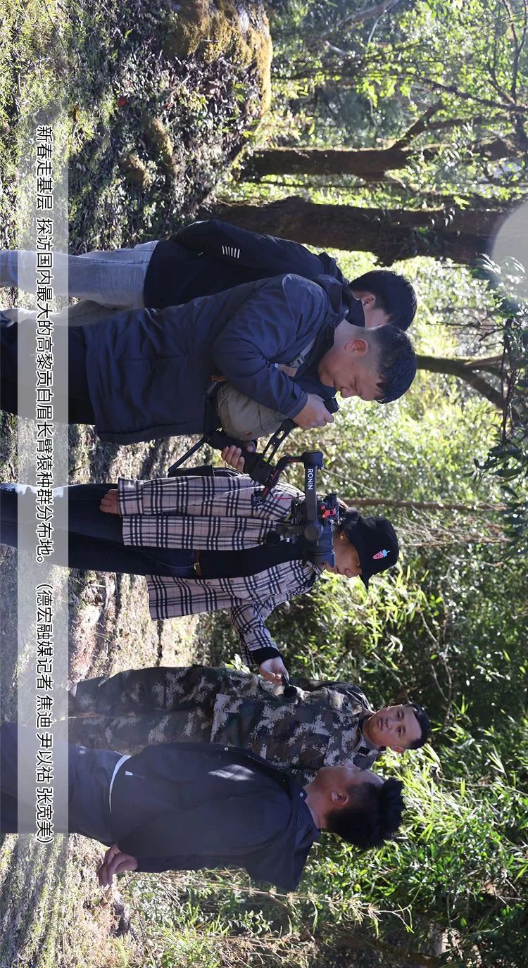 德宏融媒