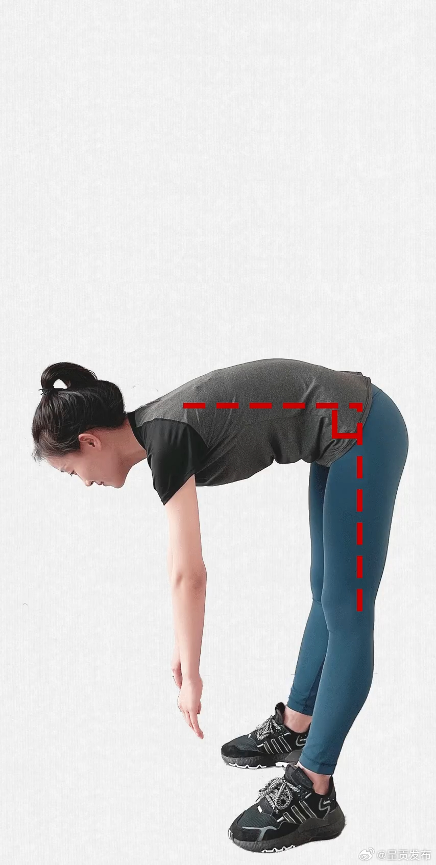 呈贡发布