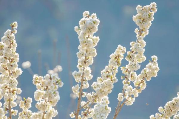 云南省文化和旅游厅