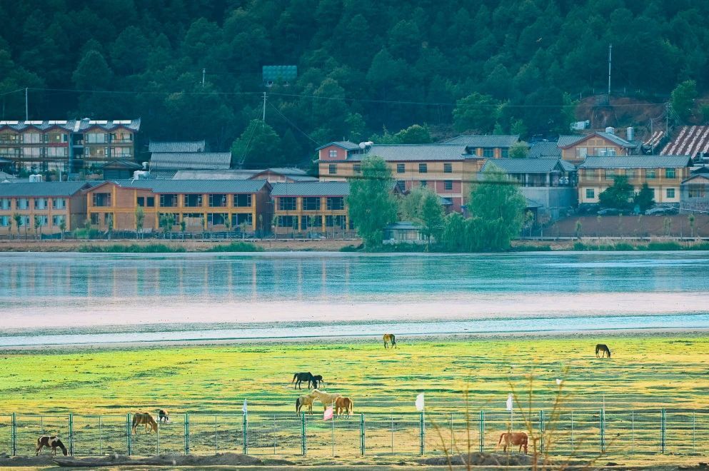 云南省文化和旅游厅