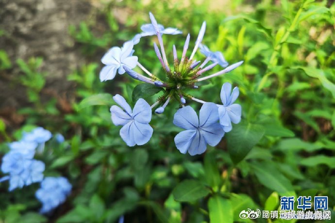 滇池旅游度假区