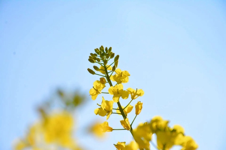 云南省文化和旅游厅