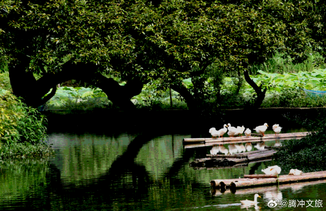 腾冲文旅