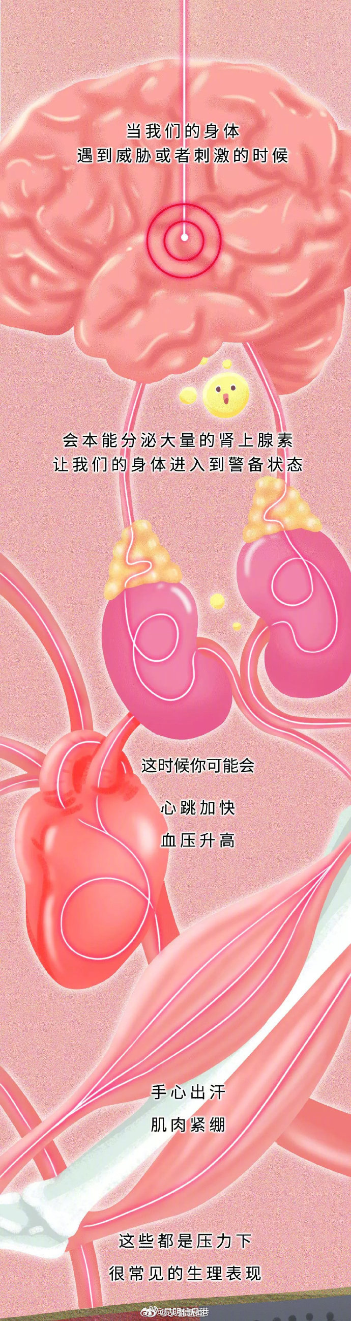 昆明信息港微博