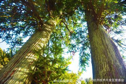 昆明经济技术开发区管委会