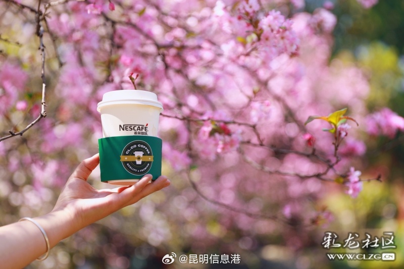 昆明信息港微博