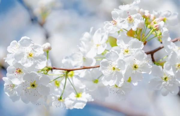 云南省文化和旅游厅