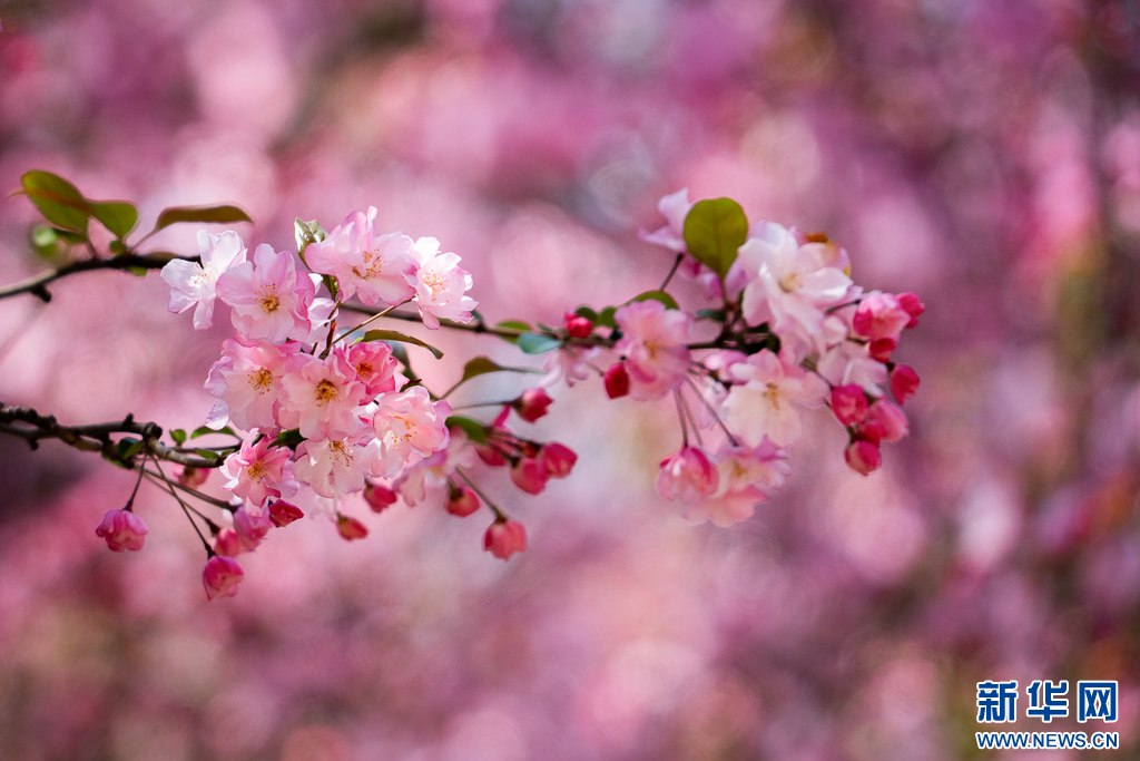 云南省文化和旅游厅