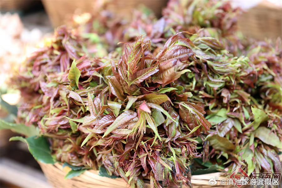 滇池旅游度假区