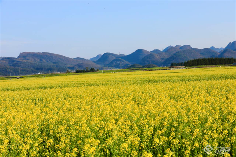 云南省文化和旅游厅