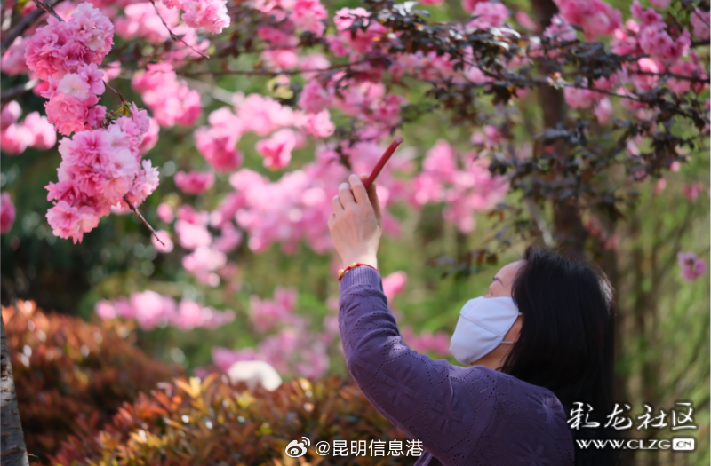 昆明信息港微博