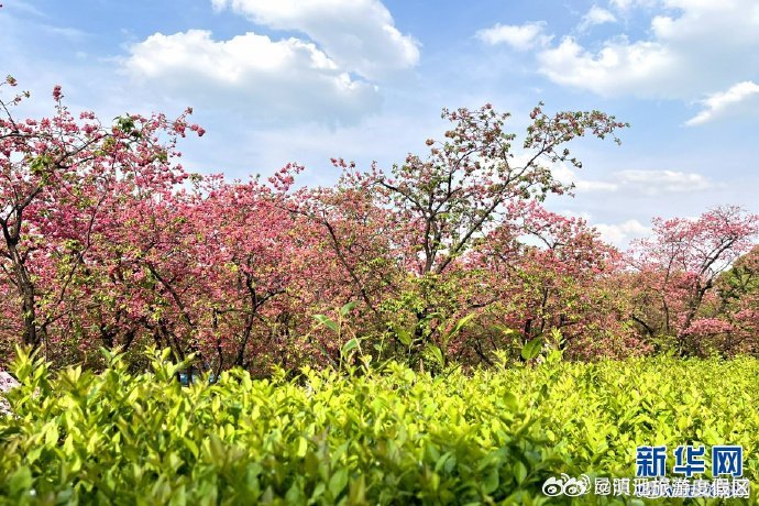滇池旅游度假区
