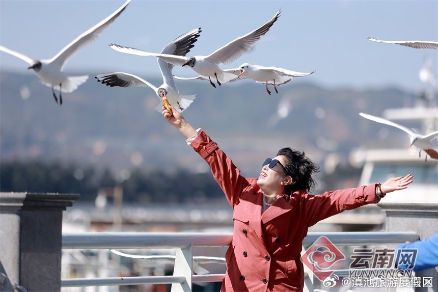 滇池旅游度假区