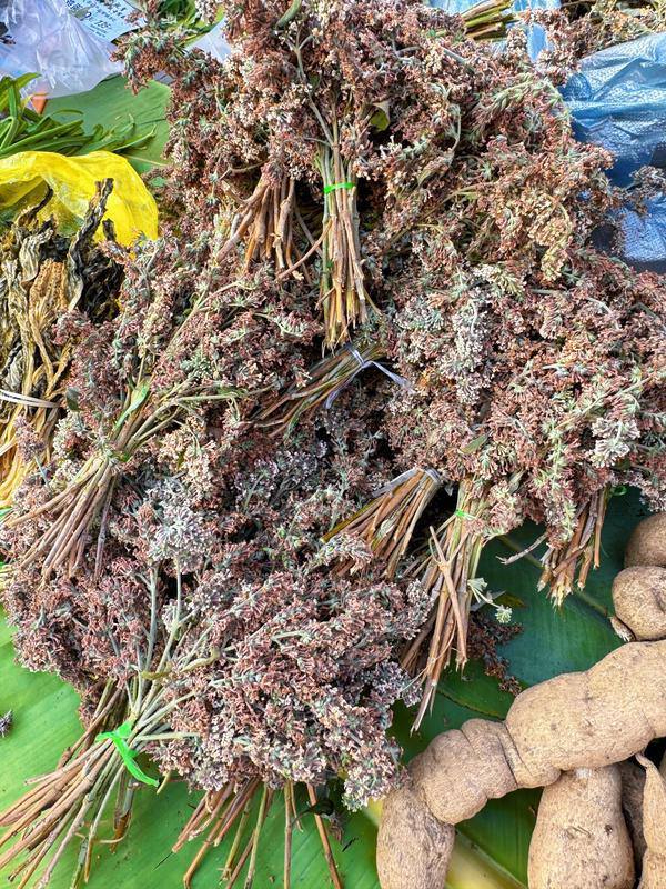 云南省文化和旅游厅