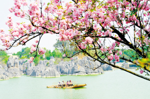 昆明市文化和旅游局