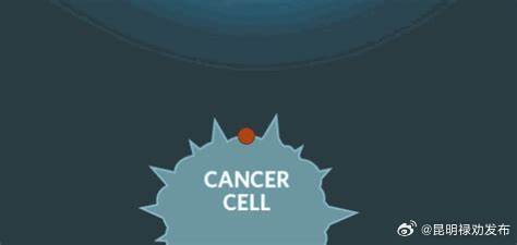 5种炎症可能发展成癌