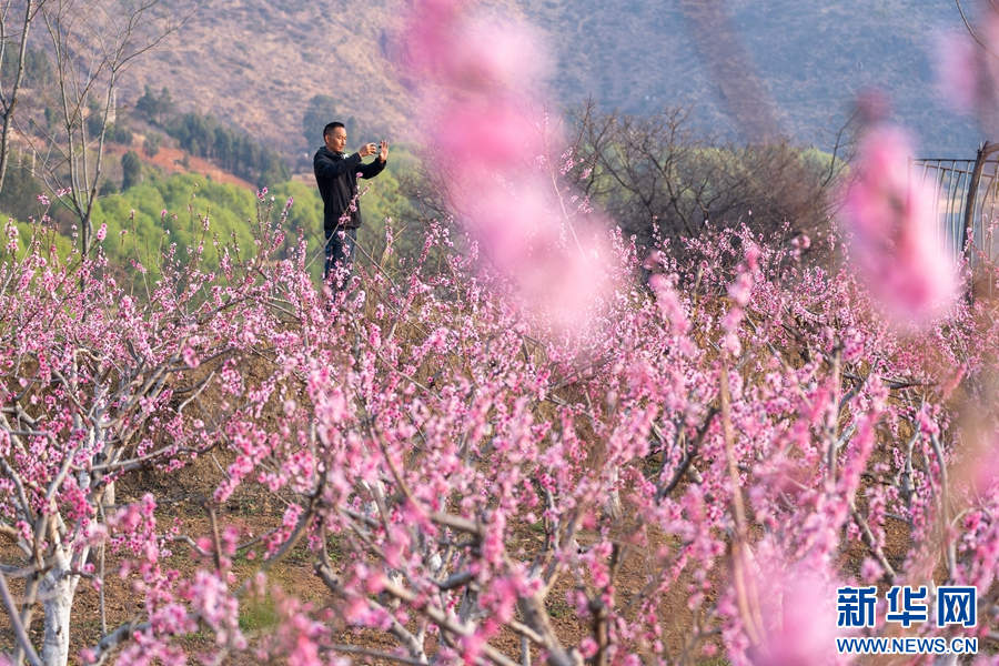 云南省文化和旅游厅