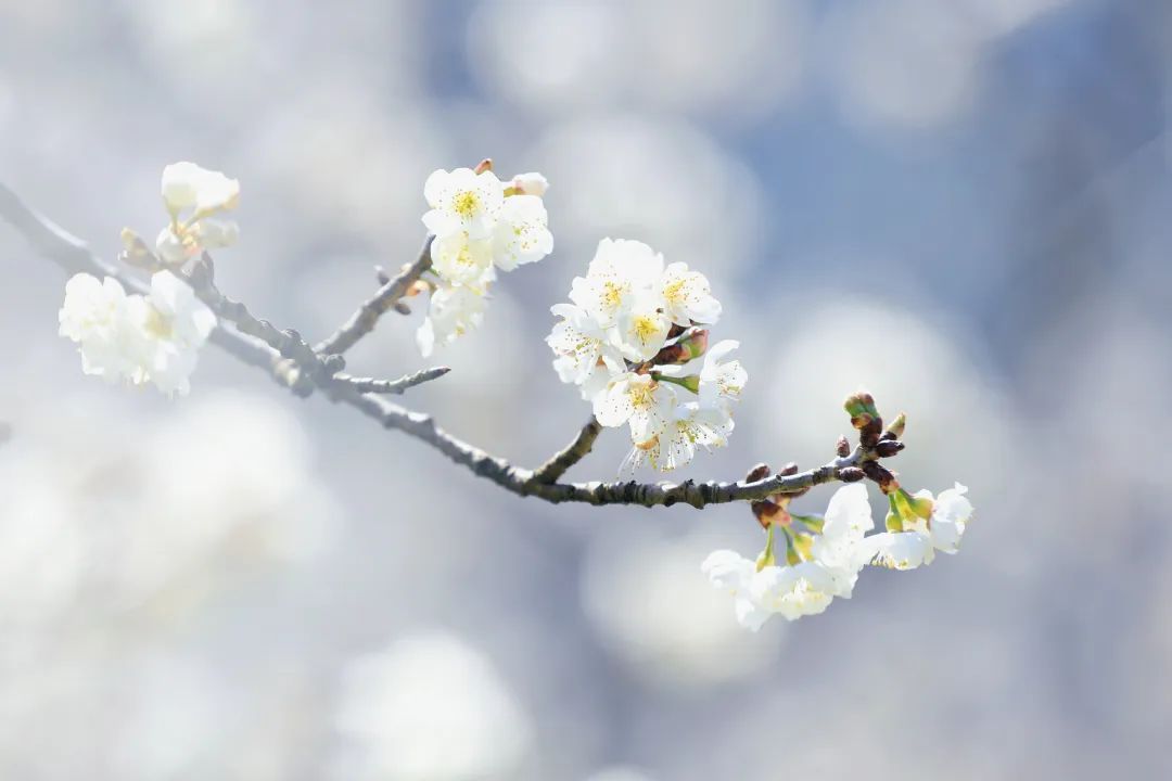 云南省文化和旅游厅