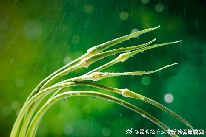 昆明经济技术开发区管委会