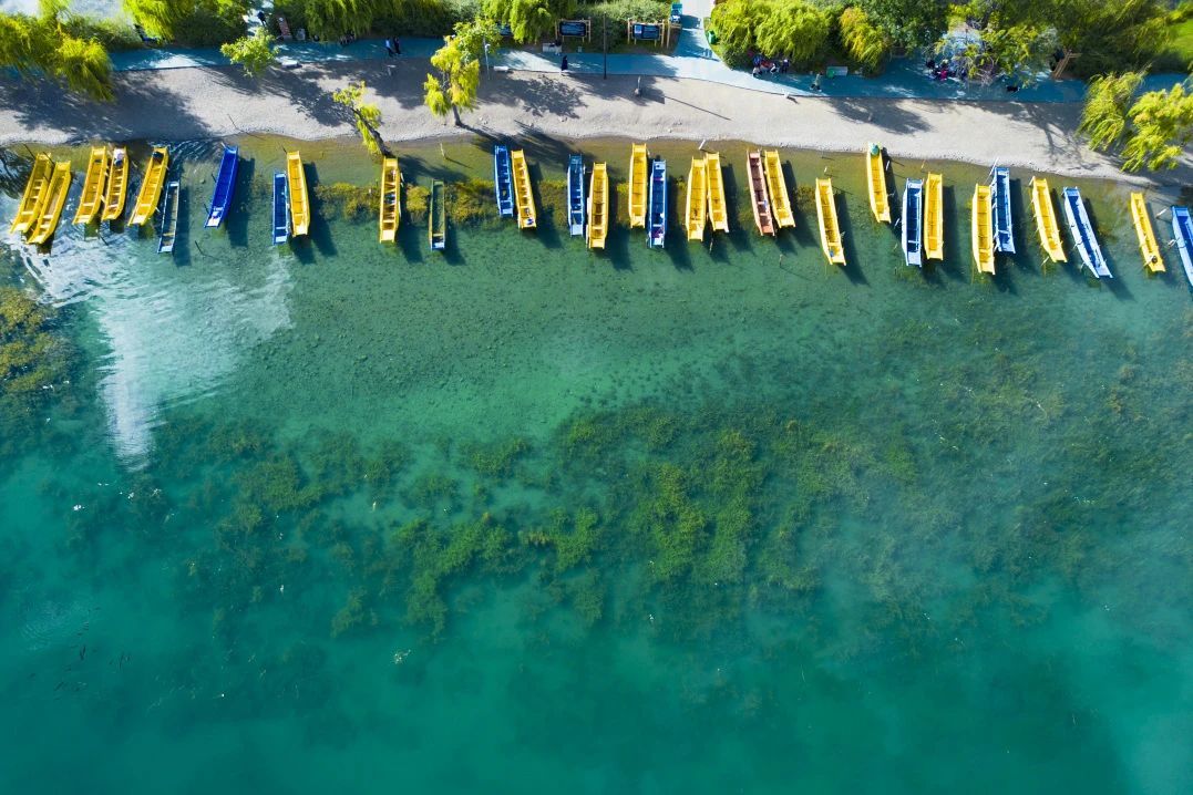 云南省文化和旅游厅