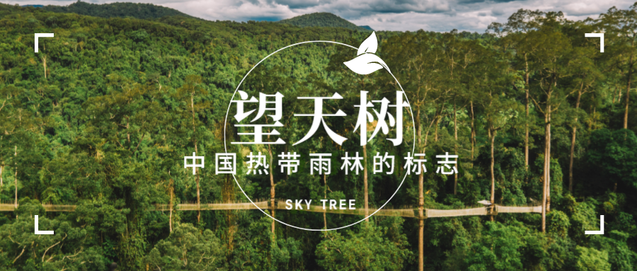 云南省文化和旅游厅