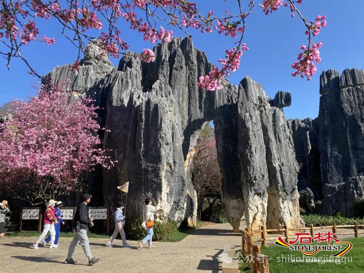 石林旅游网