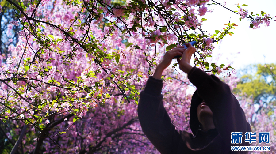 云南省文化和旅游厅