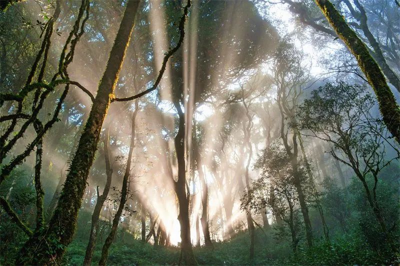 云南省文化和旅游厅