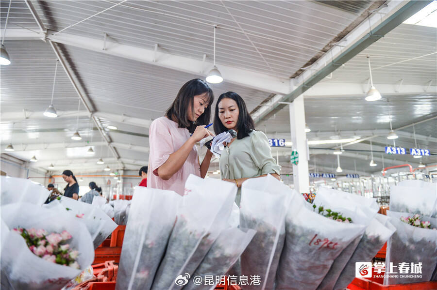 昆明信息港微博