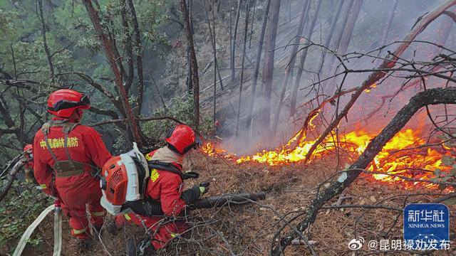 防范森林火险，我们能做什么？