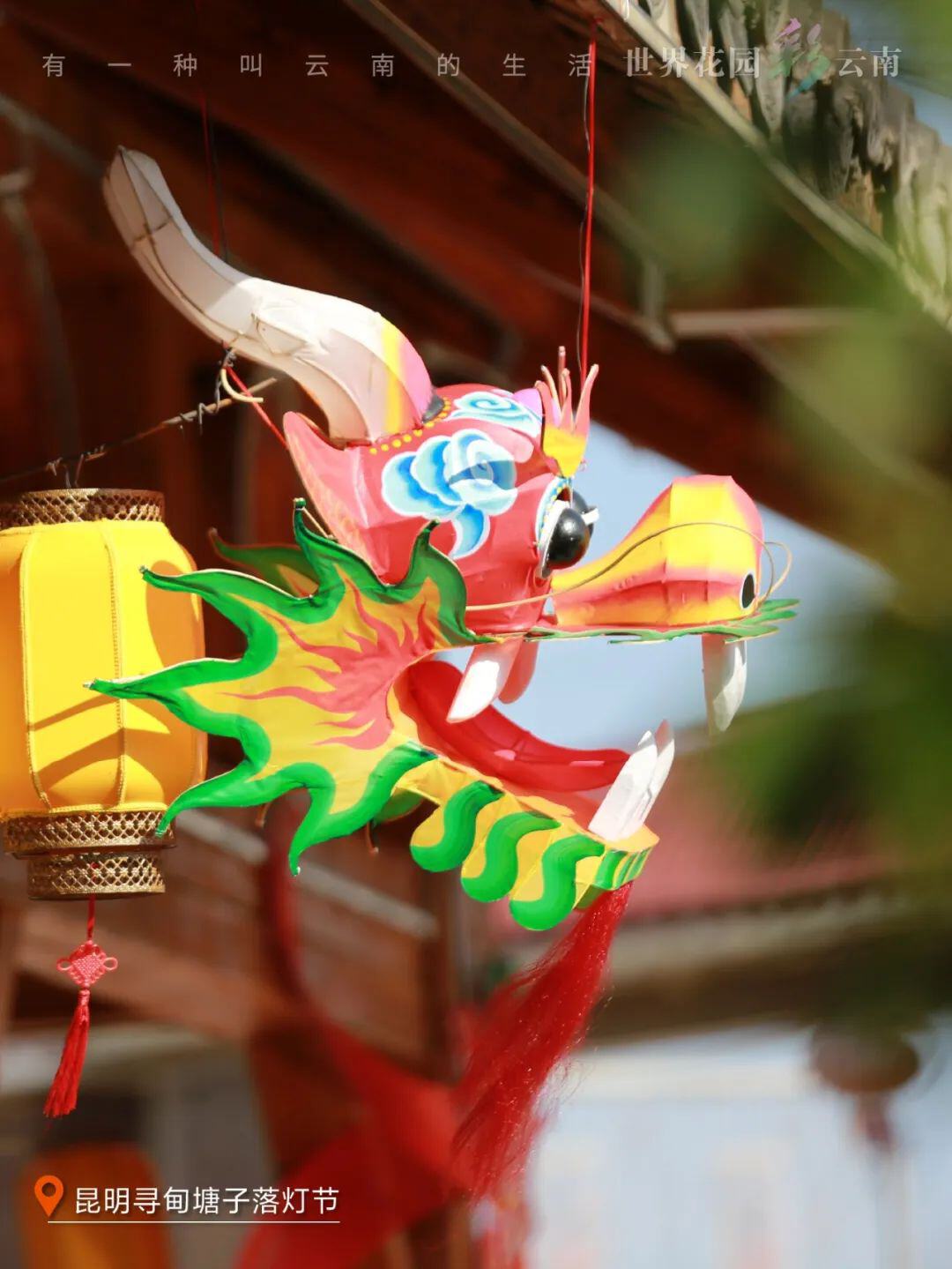 云南省文化和旅游厅