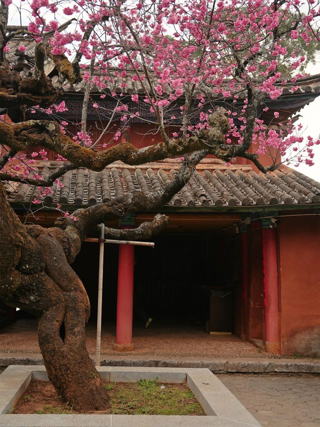 云南省文化和旅游厅