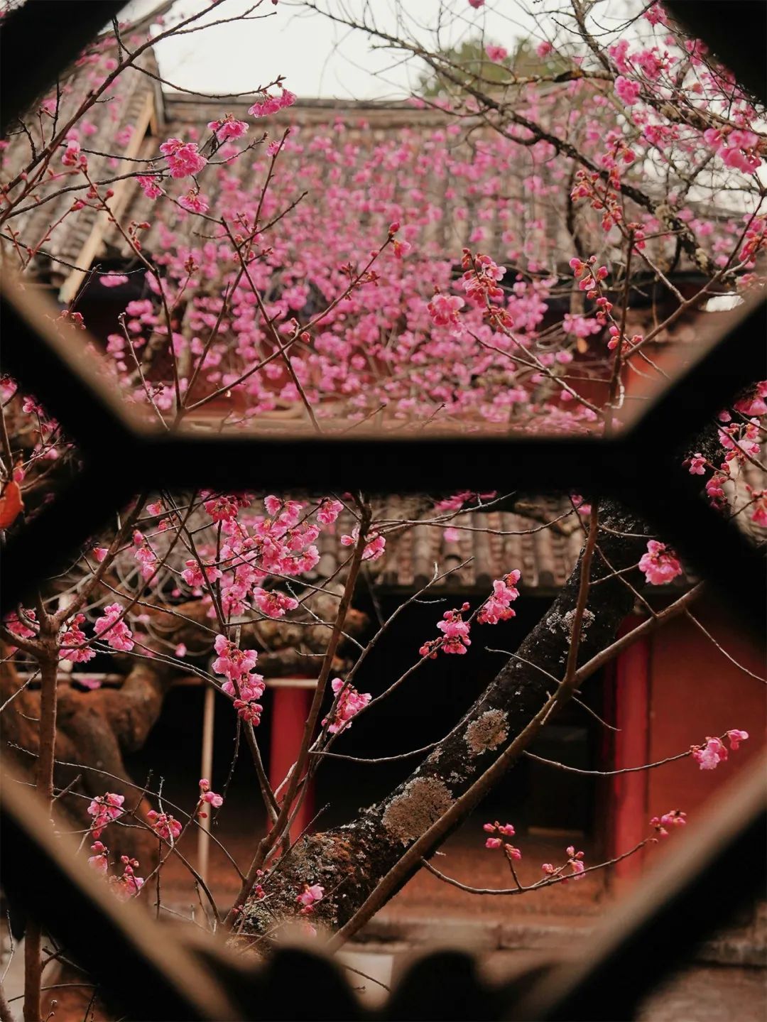 云南省文化和旅游厅