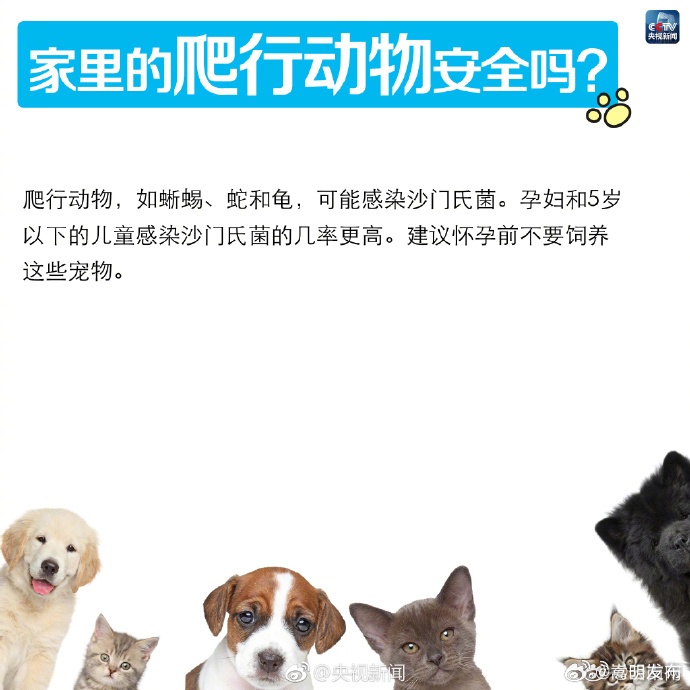 嵩明发布