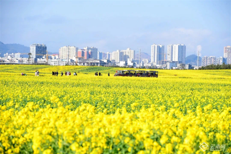 云南省文化和旅游厅