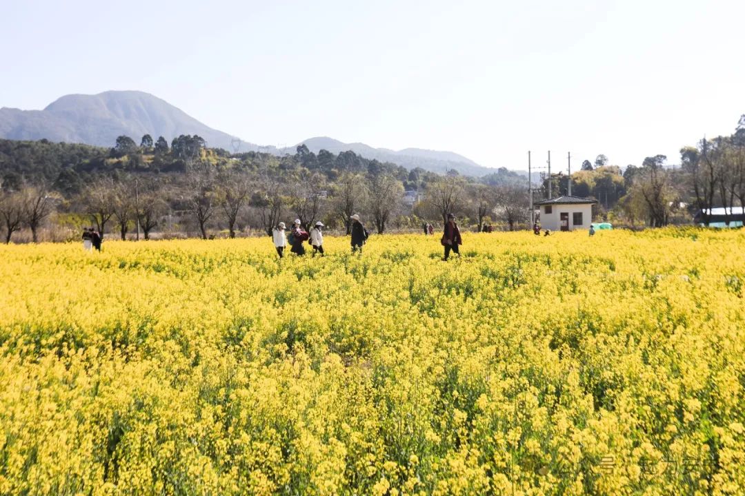昆明文旅