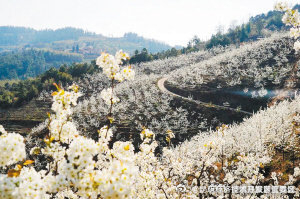 美好生活趣昆明 