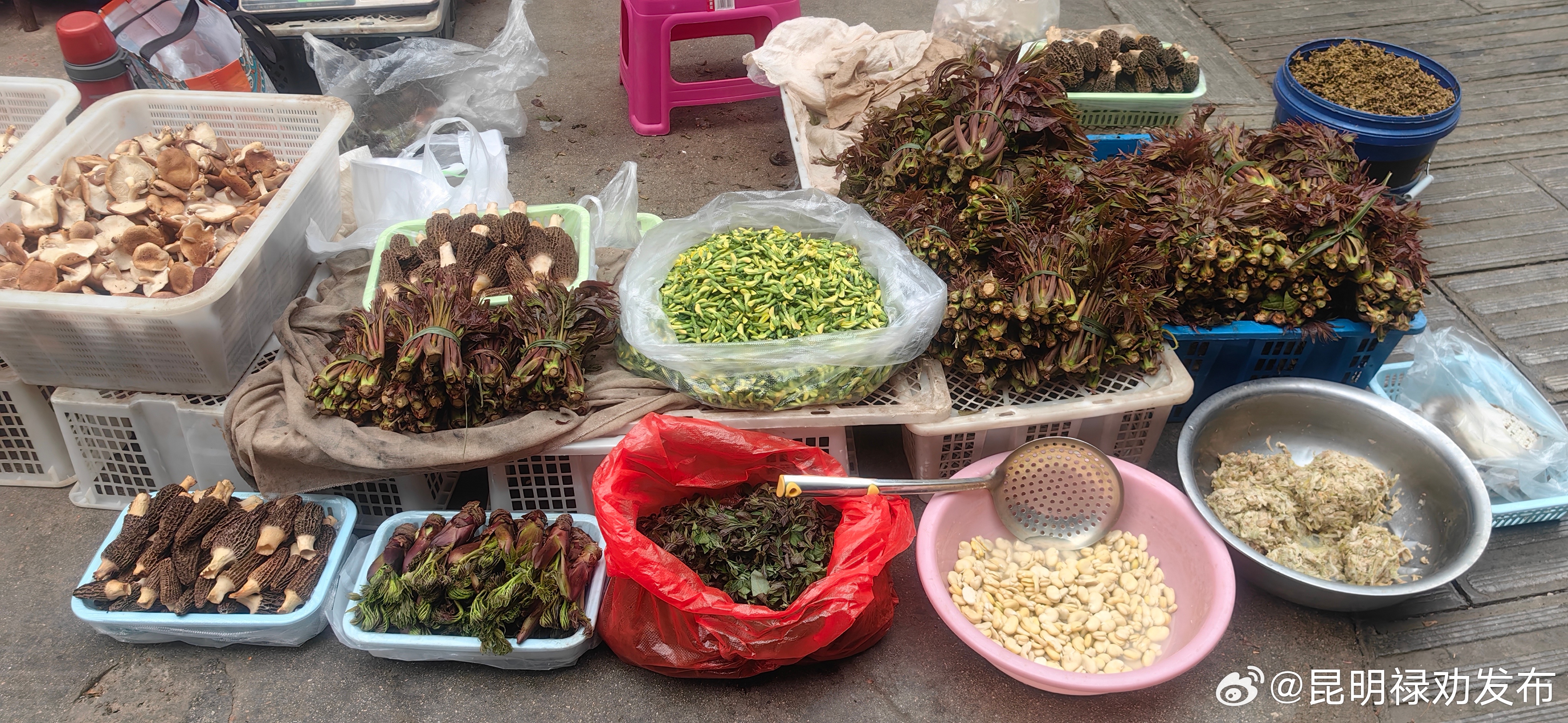 昆明禄劝发布