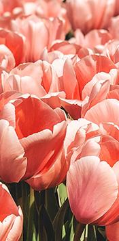 昆明市第一人民医院