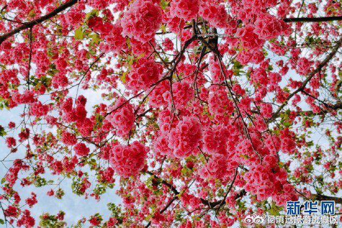 滇池旅游度假区