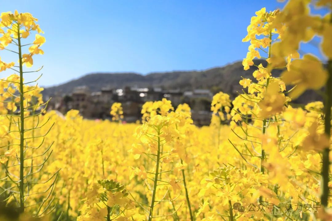 昆明文旅