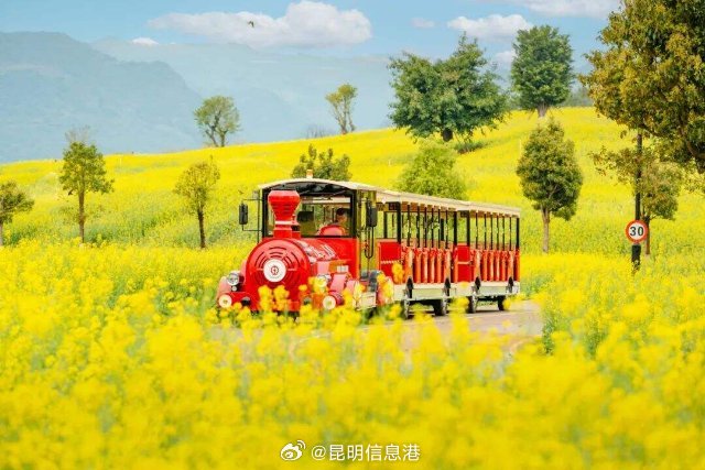 昆明信息港微博